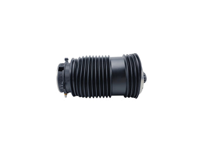 Rear Left Suspension Air Spring Bags For Mercedes Benz 2053200125