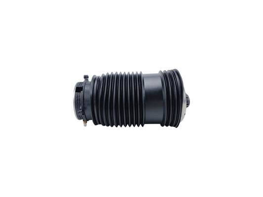 Rear Left Suspension Air Spring Bags For Mercedes Benz 2053200125