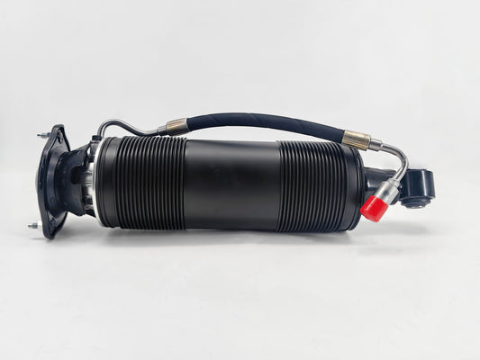 Fit Mercedes Benz SL-CLass R231 Rear Left Hydraulic Shock Strut 2313209313