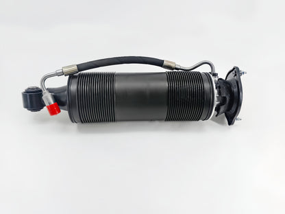 Fit Mercedes Benz SL-CLass R231 Rear Left Hydraulic Shock Strut 2313209313