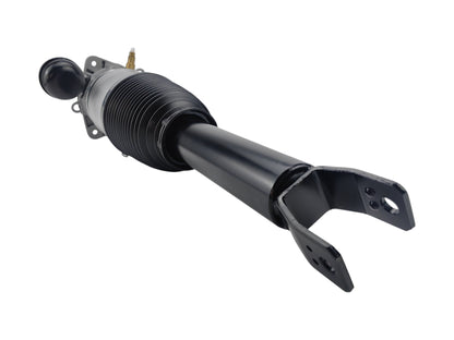 Bentley Continental Air Suspension Absorber Shock Rear Left 3W5616001D