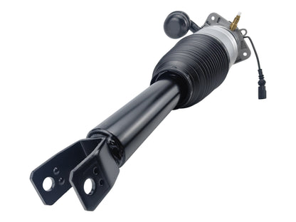 Bentley Continental Air Suspension Absorber Shock Rear Left 3W5616001D