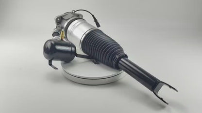 Audi A8/S8 D3 (4E) Rear Left Air Suspension Shock Strut 4E0616001D